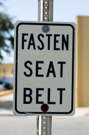 Seat Belt Safety Facts. Seat+elt+safety+graphs